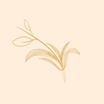 Simple Flower And Leaf line Art 
