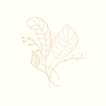 Simple Flower And Leaf line Art 