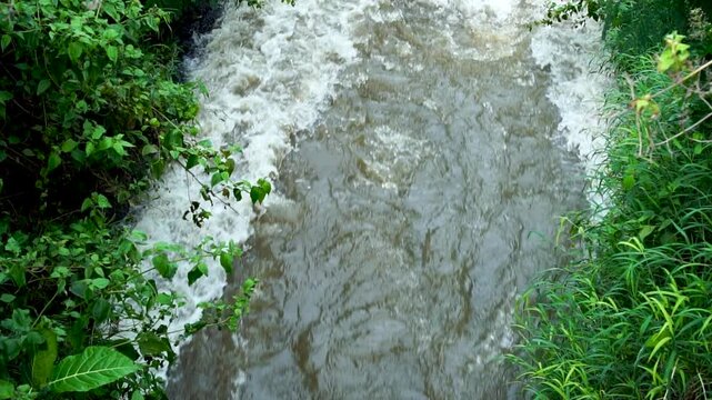 High angle view of turbulent muddy river rushing through green vegetation after heavy rain. 120fps Slow Motion capture of powerful water current, flash flood, and environmental disaster concept.