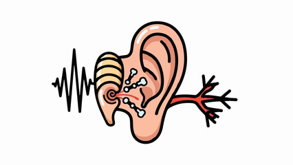 Stylized cross-section of a human ear showing sound waves entering and stimulating internal structures © Mera