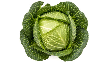 Obraz premium Fresh green cabbage isolated on white background