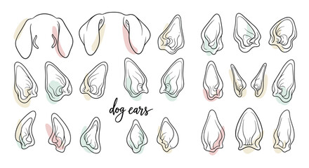 Obraz premium Diverse collection of various dog ear shapes and styles shown in an artistic sketch style with soft pastel color accents for pet lovers.