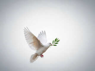 Fototapeta premium White dove with olive branch in flight representing radical empathy and unity for MLK Day