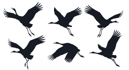 Obraz premium A collection of six elegant black silhouettes of Japanese cranes in different stages of mid-flight and landing.