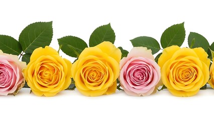 Naklejka premium Beautiful yellow and pink roses with green leaves