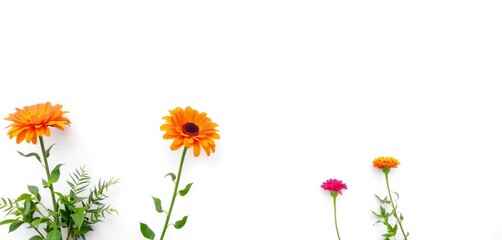 Blank white sheet of paper isolated on white background,  illustration,  office