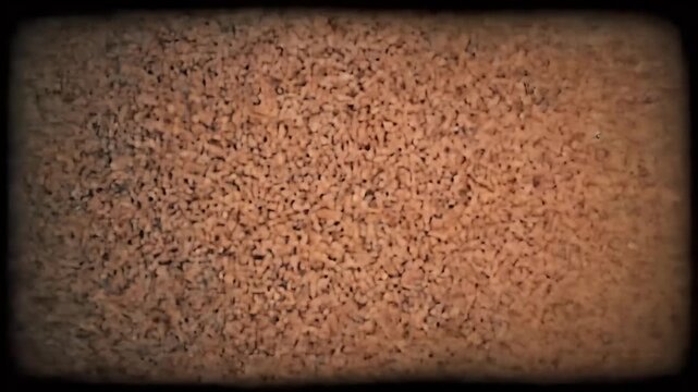 Abstract Textured Background with Speckled Brown and Black Particles and Soft Vignette Effect