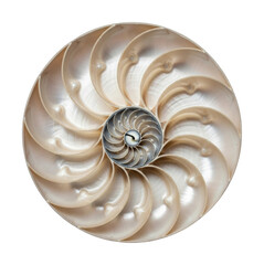 Obraz premium Exploring the beauty of nautilus shell nature's design isolated on transparent background