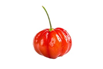 Single bright red cherry tomato isolated on white background