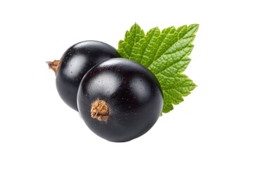 Two black currants with leaf isolated on white background