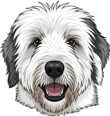 Old English Sheepdog cute smiling face closeup headshot portrait