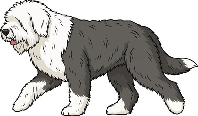 Old English Sheepdog walking relaxed movement side view