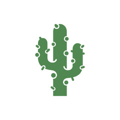 green cactus illustration