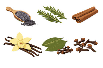 Assortment of Spices and Herbs on a Textured Background