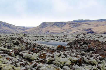 Empty Road Through Mossy Lava Field in Iceland Highlands