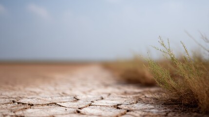 Environmental migration and climate adaptation roadmap concept