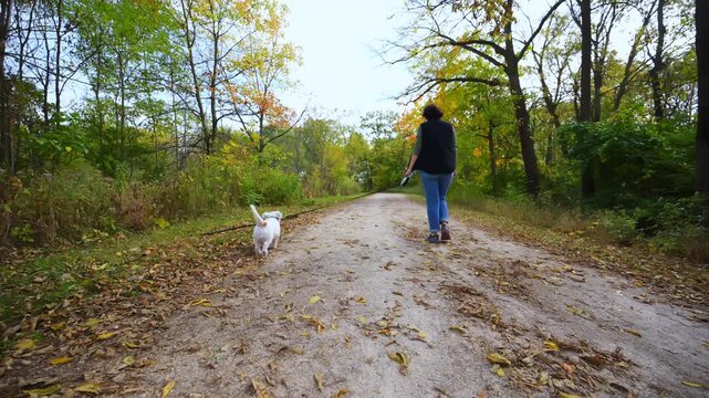 Woman walking with the dog in the forest, enjoying a moment of relaxation in nature. Dog is carrying a long stick 