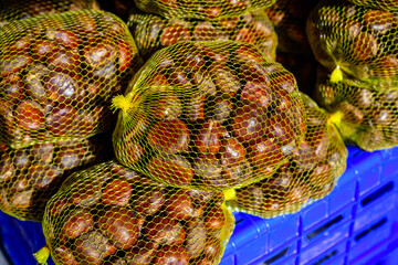 Fresh organic chestnuts in mesh bags at local market; natural botanical plant for wellness, sustainability and healthy lifestyle background with copy space for banner or eco friendly poster.