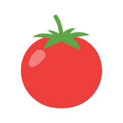 Single red tomato with stem Vector