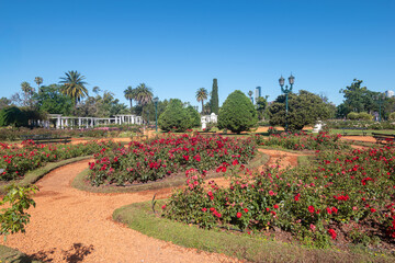 Fototapeta premium View of Palermo Rose Garden (Rosedal de Palermo) - Buenos Aires, Argentina
