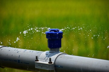 Close-up of a water sprinkler irrigation system spraying water over crops in a green agricultural field. Concept of irrigation, farming technology and water conservation.