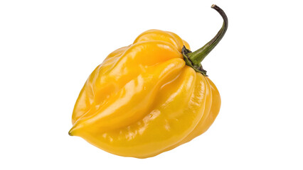 Vibrant yellow habanero pepper on black background