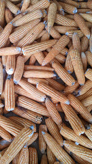 Close-up Dry Yellow Corn Cobs Background &ndash; Harvested Maize for Agriculture and Food Industry	