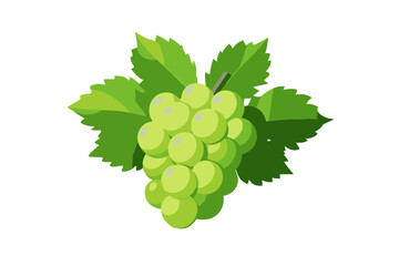 Minimal flat vector illustration of a lush cluster of green grapes with leaves isolated on transparent background