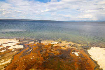 Lakeshore Geyser in Yellowstone National Park