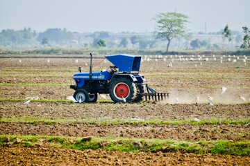 A blue tractor ploughs a dry field while birds follow behind to feed on insects, showing mechanized farming, rural agriculture and natural ecosystem balance.