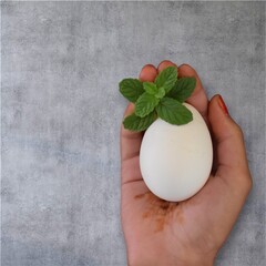 Hand holding a white egg topped with fresh mint leaves on grey background, symbolizing natural food, freshness, health and organic lifestyle.
