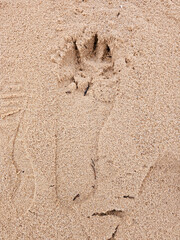 footprint in the sand, close-up