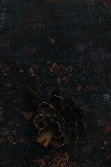 meditation accessories, dishes, sandalwood incense sticks, mandala