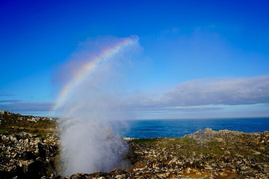 Buf&oacute;n con arco iris
