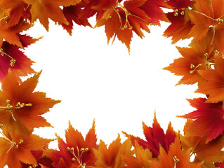 Autumn maple leaves frame with vibrant orange and red hues