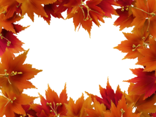 Autumn maple leaves frame with vibrant orange and red hues