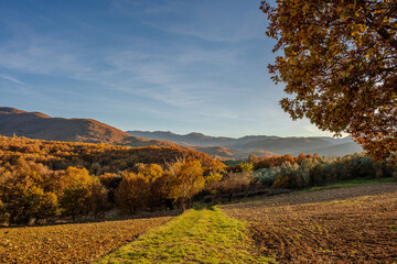 Naklejka premium Molise is an Italian region with a stretch of coast overlooking the Adriatic Sea. It includes a part of the Abruzzo National Park in the Appennine mountain range, with a rich wildlife and trails.