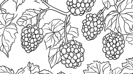 Black and white illustration of raspberries and leaves. Seamless pattern for backgrounds or print design