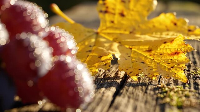 Golden Grape Serenade:  A close-up view of ripe grapes beside a bright yellow leaf, captured in the warm embrace of sunlight, creates a visual ode to autumn's elegance.