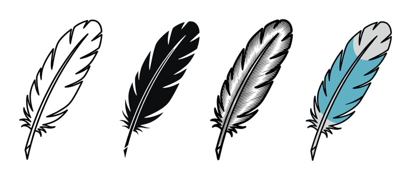 Set of four bird feather illustrations showing different artistic styles including outline, silhouette, engraving, and a simple blue and grey colored version for design elements