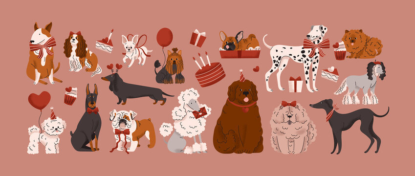 Dog breeds. Valentine's Day collection. February 14 Love. Balloon, cake, bow, heart, gift. Cute, funny pets. Domestic animal. Terrier, Chihuahua, Poodle, Bulldog, Dalmatian, Spaniel, Doberman.