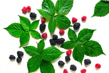 fresh blackberries and raspberries, with foliage, top view, on a light background, no people,