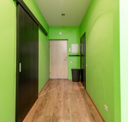 Fototapeta premium Modern Home Hallway with Wooden Floors and Bright Green Walls