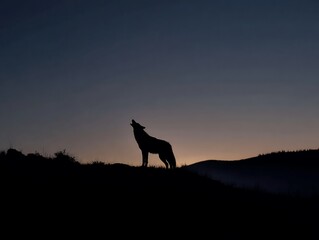 Lone wolf howling at serene sunset landscape