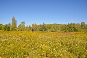 Fototapeta premium Fall landscape eastern townships Quebec province Canada 