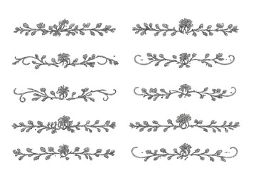 Obraz premium Ornate floral border elements on a gradient background