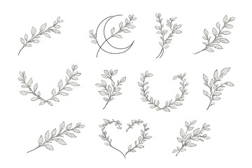 Hand-drawn botanical elements and a crescent moon on a textured background © Mark