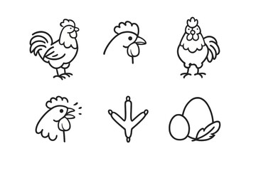 Naklejka premium Chicken Icons Set