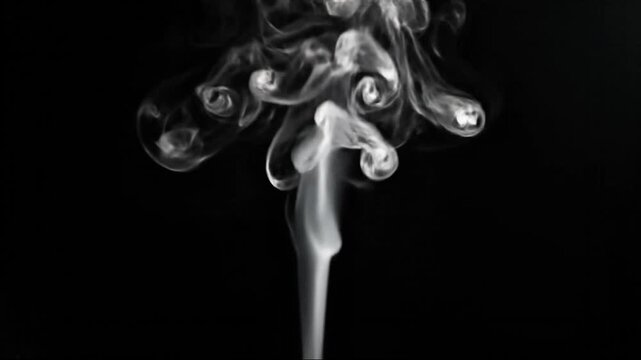 Wisps of white smoke gracefully swirl and rise in an elegant, ethereal column against a stark, deep black background, creating an abstract and mesmerizing visual effect.