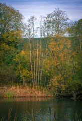 Autumn river landscape with colorful trees reflections